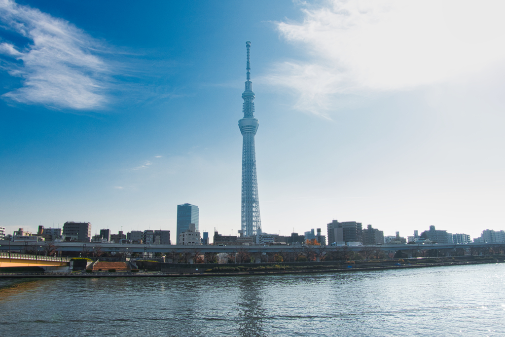 Tokyo Sky Tree in the sky