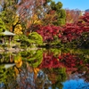 日比谷公園紅葉