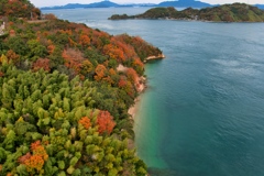 しなまみ海道 来島海峡大橋