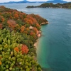 しなまみ海道 来島海峡大橋