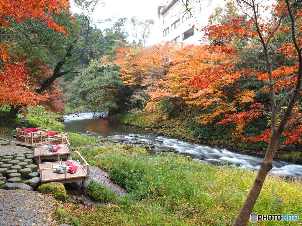 鶴仙渓川床と紅葉