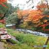 鶴仙渓川床と紅葉