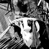 縁切り願い２
