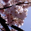 眩しい朝