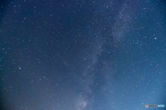 E568A515-F22F-4E52-923C-F7F18201947A