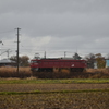 EF81 140