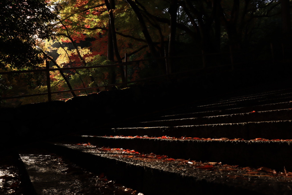 出雲　鰐淵寺