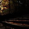 出雲　鰐淵寺