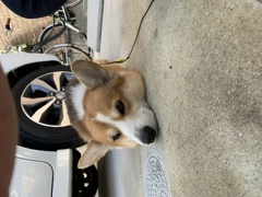 151A3733-0FE5-4918-9C20-7631E6C37C0C