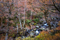 破間川上流
