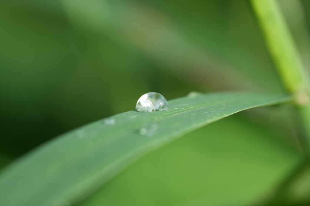 雫−２