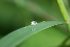 雫−２