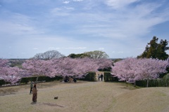 横須賀城本丸跡