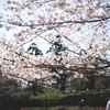 横須賀城跡−４