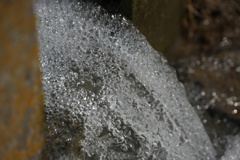 bubble