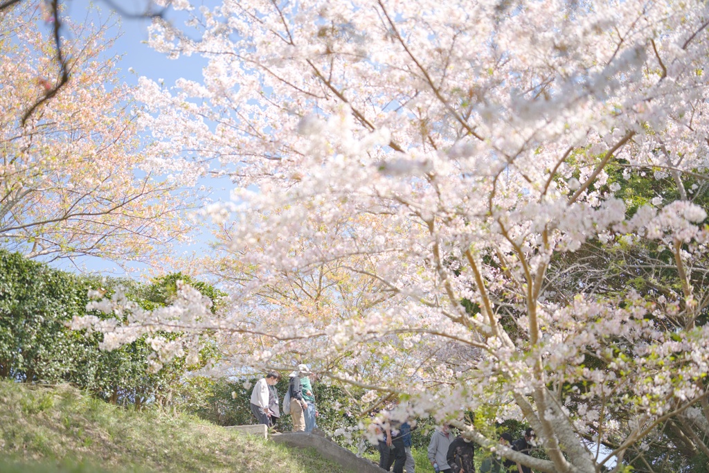 横須賀城跡−６