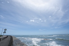 海