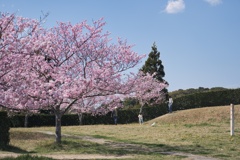 城跡公園−２