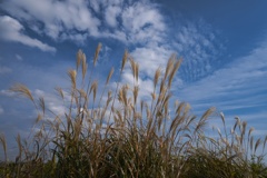 薄と空