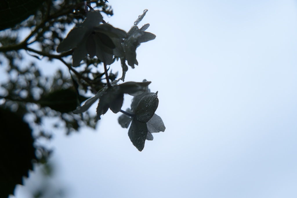 雨天