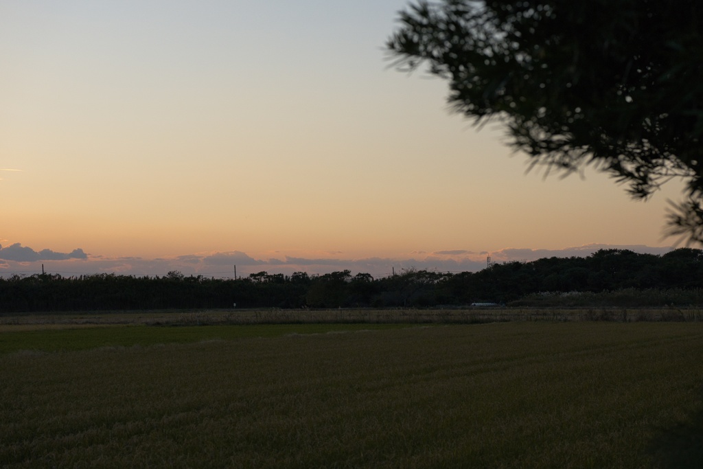 夕景−１