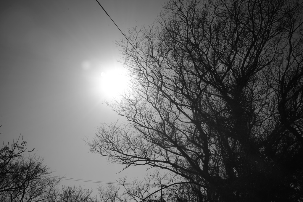 太陽