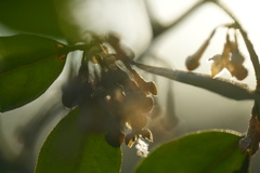 日の当たる場所−１