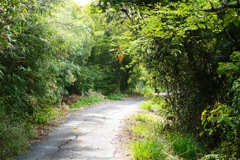 promenade