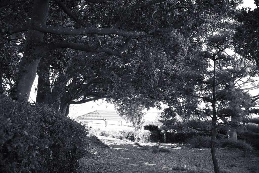 城跡公園−１