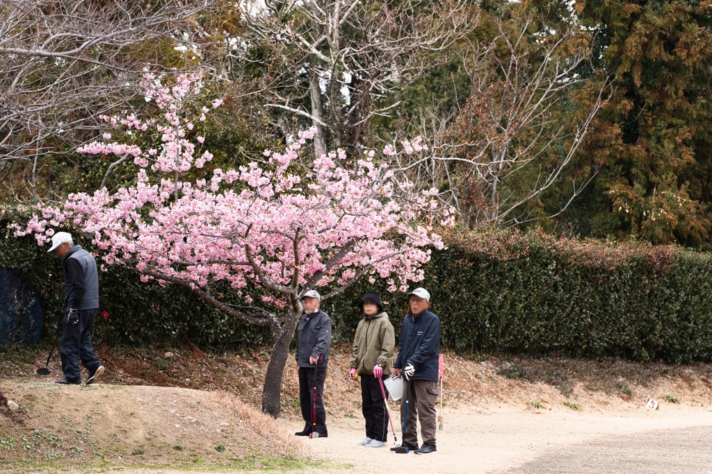 ゲートボールの人々