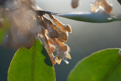 日の当たる場所−２