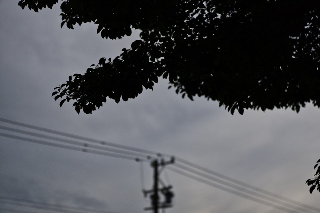 静寂
