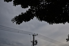 静寂