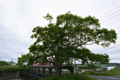 水門