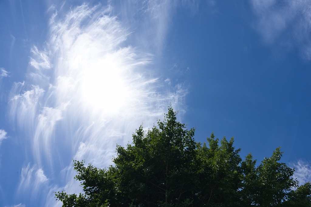 夏空