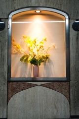 生花−１