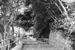 遊歩道