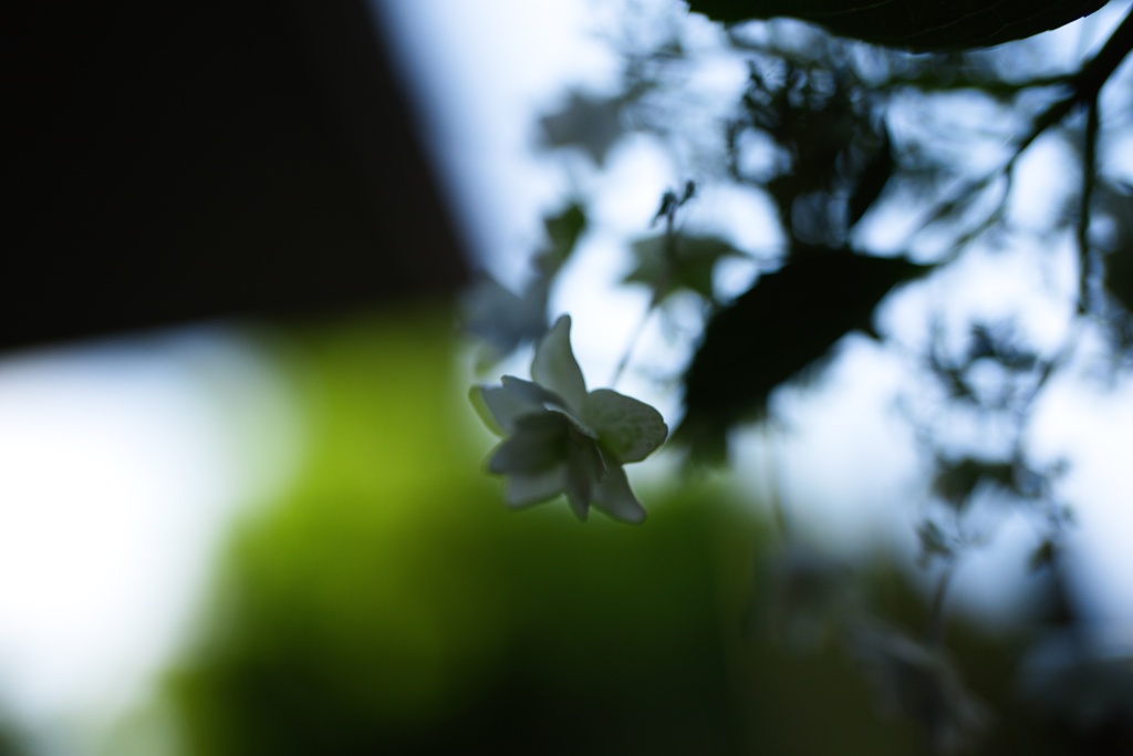 分離した世界