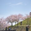 横須賀城跡−２