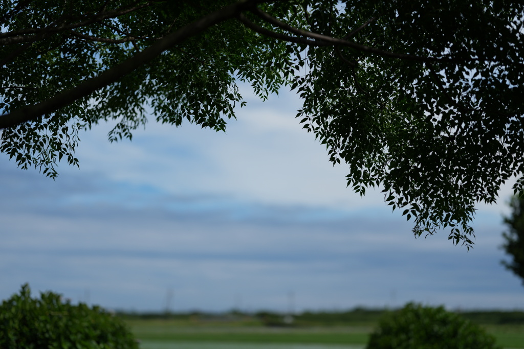 風景