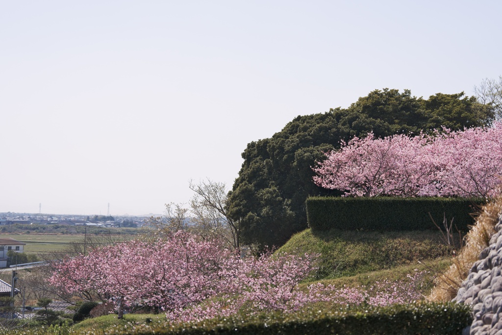 城跡公園−３