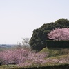 城跡公園−３