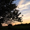 夕暮れ