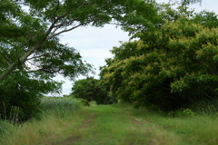 countryload