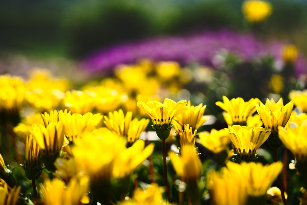 カザニア−２