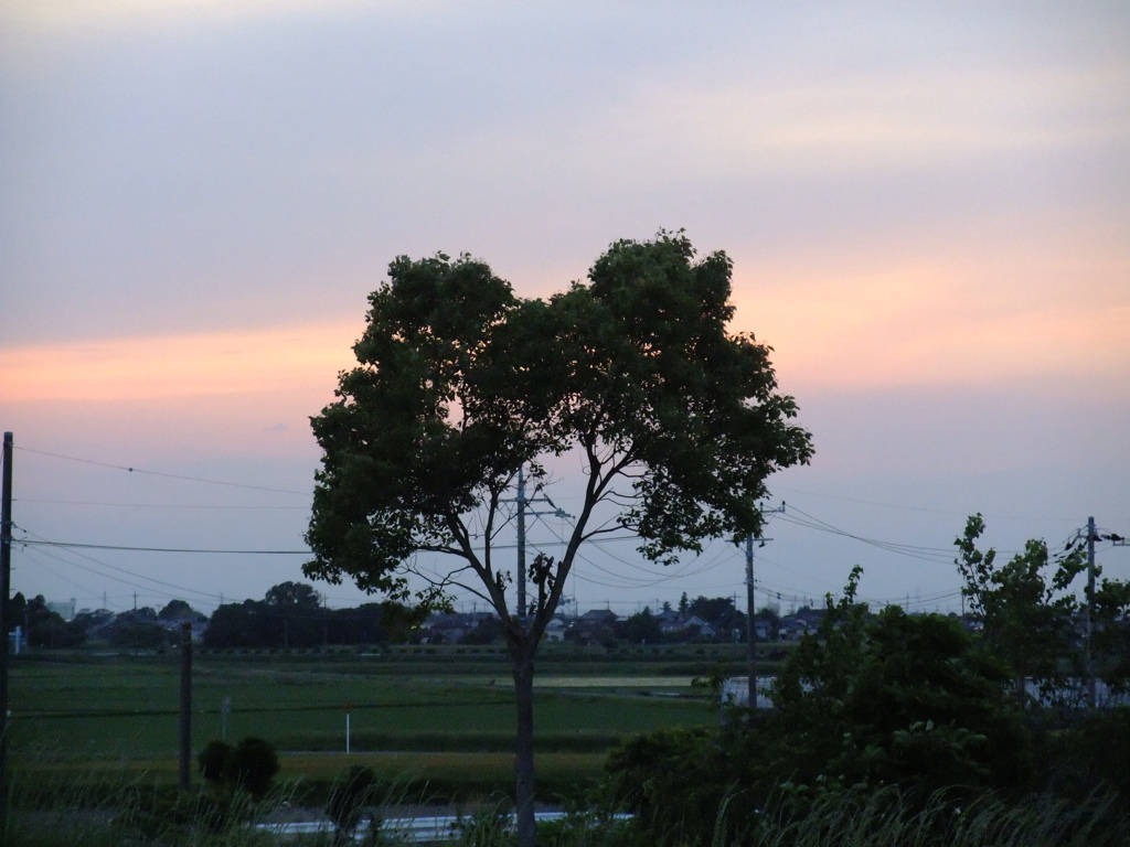 帰宅中の寄り道