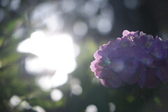 2023_0617_17183500