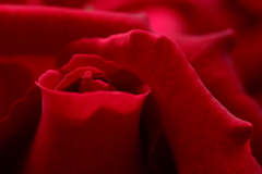 DSCF3424