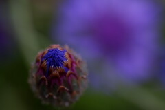 2023_0521_10554900