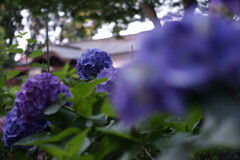 2023_0617_17331800